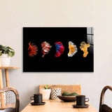 Betta Fish Tail Glass Wall Art - CreoGlass E-Shop