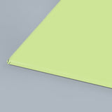 Lime Zest Matt Finish Sample