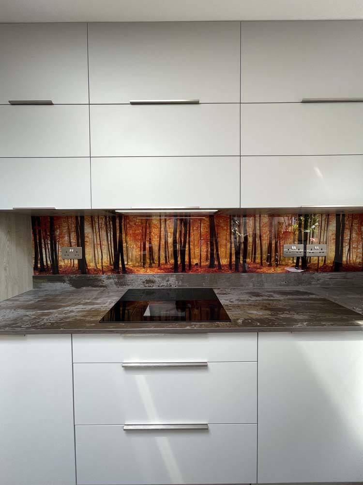 Autumn Forest Printed Landscape Glass Kitchen Splashback - CreoGlass E-Shop