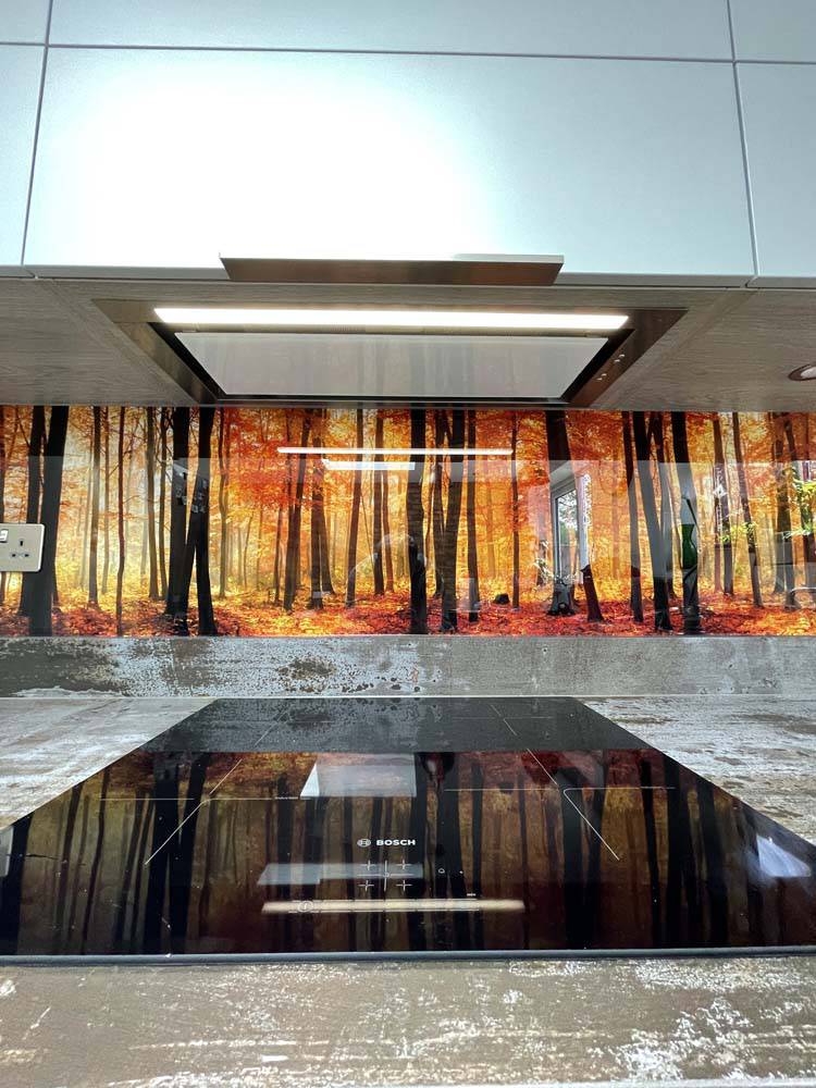 Autumn Forest Printed Landscape Glass Kitchen Splashback - CreoGlass E-Shop