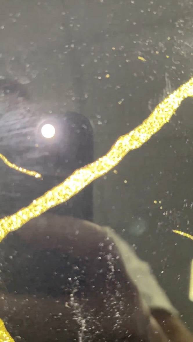 Golden - Black Calacatta Splashback - CreoGlass E-Shop