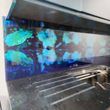 Jungle Leaves Printed Landscape Glass Kitchen Splashback - CreoGlass E-Shop