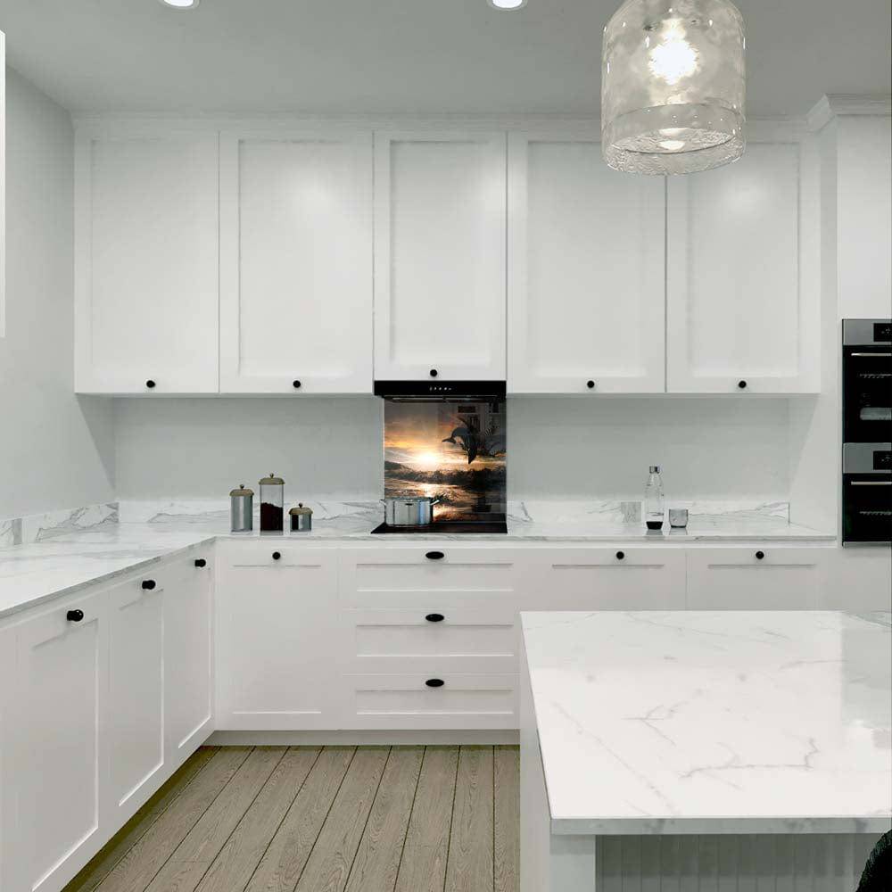 Leaping Dolphin Classic Printed Glass Splashback - CreoGlass E-Shop