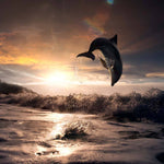 Leaping Dolphin Classic Printed Glass  Splashback - CreoGlass E-Shop