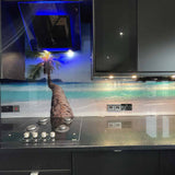 Palm Tree Beach Printed Glass Kitchen Splashback - CreoGlass E-Shop