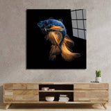 Betta Fish Glass Wall Art - CreoGlass E-Shop