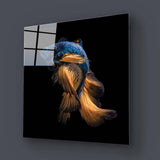 Betta Fish Glass Wall Art - CreoGlass E-Shop