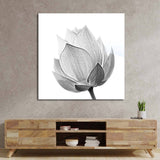 Lotus Black & White 2 Glass Wall Art - CreoGlass E-Shop