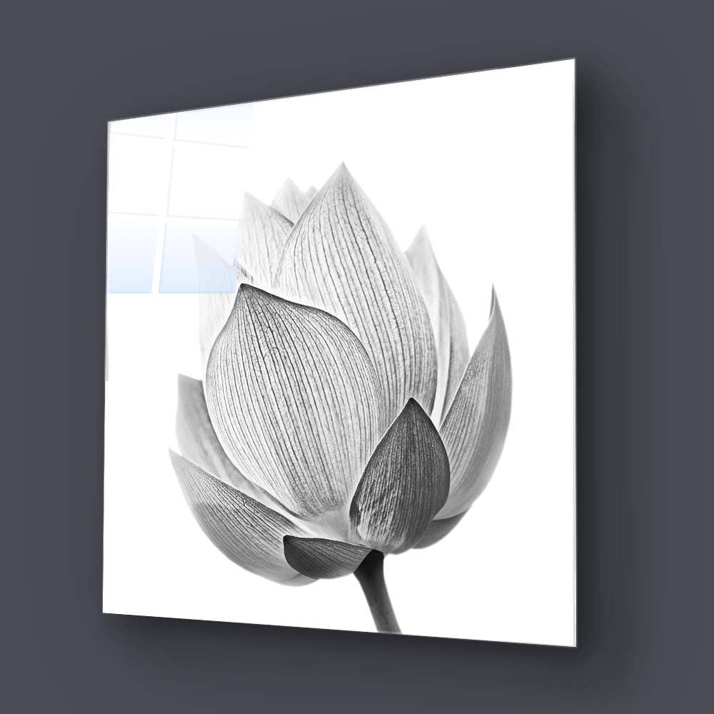 Lotus Black & White 2 Glass Wall Art - CreoGlass E-Shop