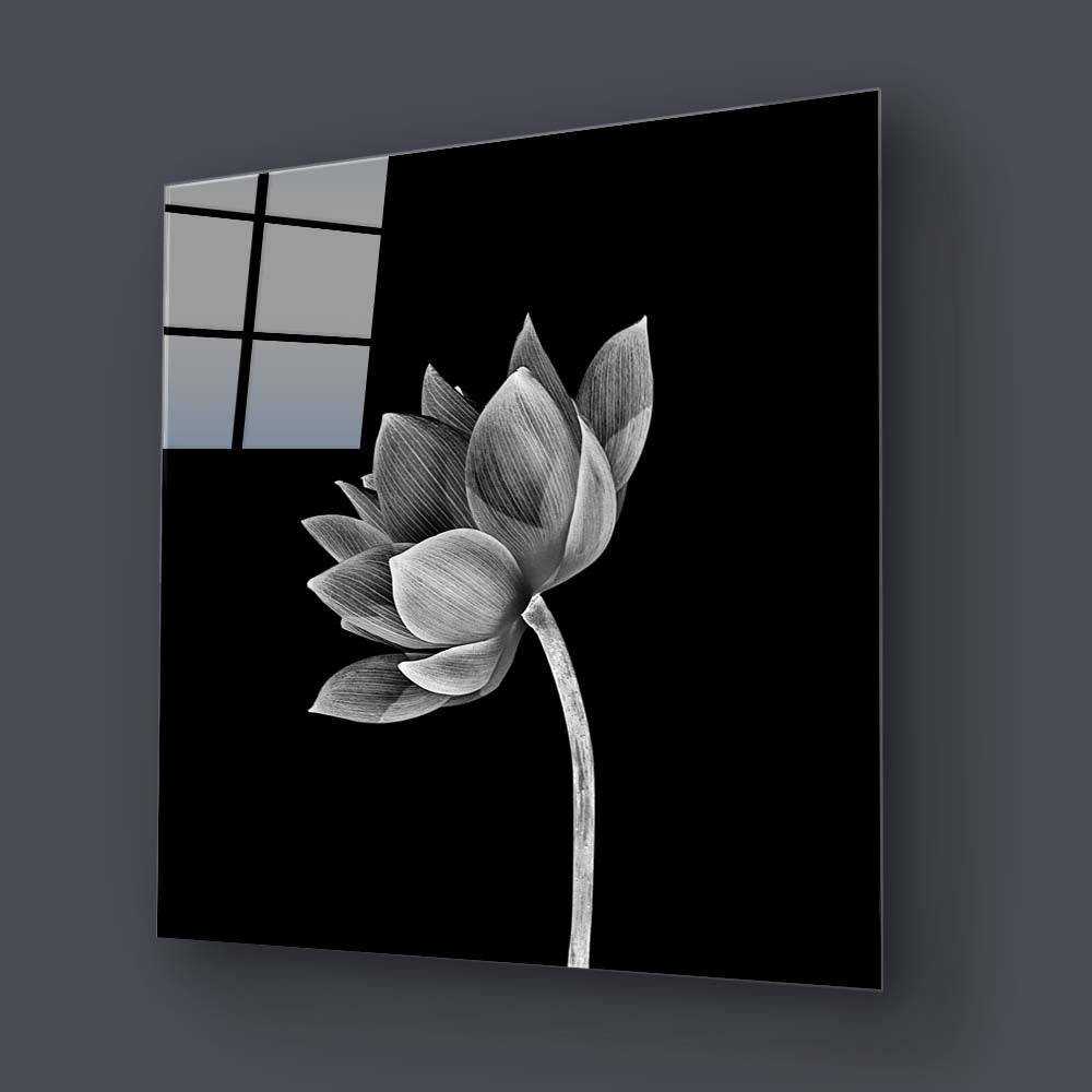 Lotus Black & White Glass Wall Art - CreoGlass E-Shop