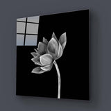 Lotus Black & White Glass Wall Art - CreoGlass E-Shop