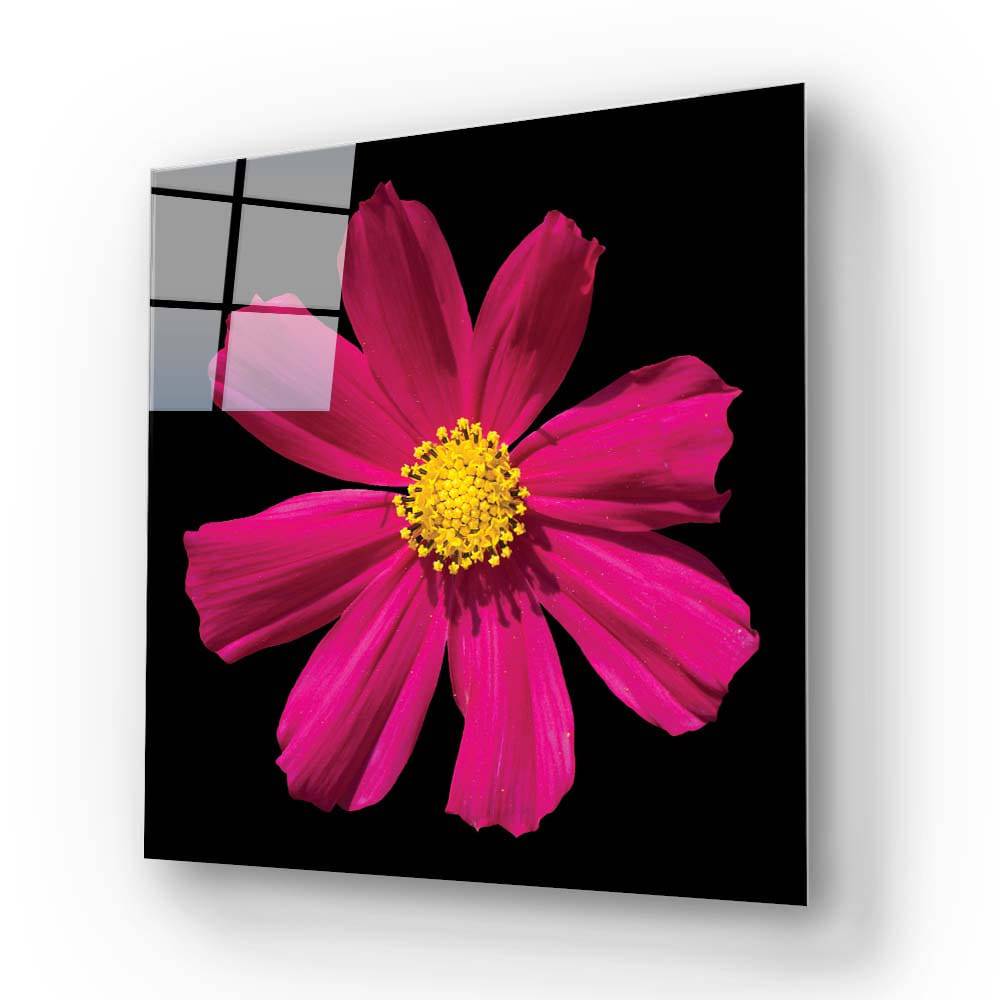 Red Daisy Glass Wall Art - CreoGlass E-Shop