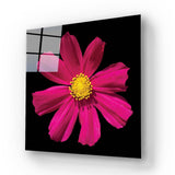 Red Daisy Glass Wall Art - CreoGlass E-Shop