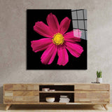 Red Daisy Glass Wall Art - CreoGlass E-Shop