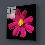 Red Daisy Glass Wall Art - CreoGlass E-Shop