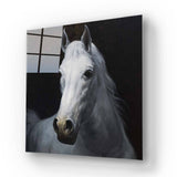 White Horse Glass Wall Art - CreoGlass E-Shop