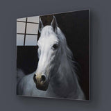 White Horse Glass Wall Art - CreoGlass E-Shop