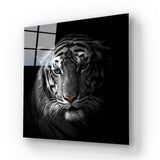 White Tiger in Spotlight Glass Wall Art - CreoGlass E-Shop
