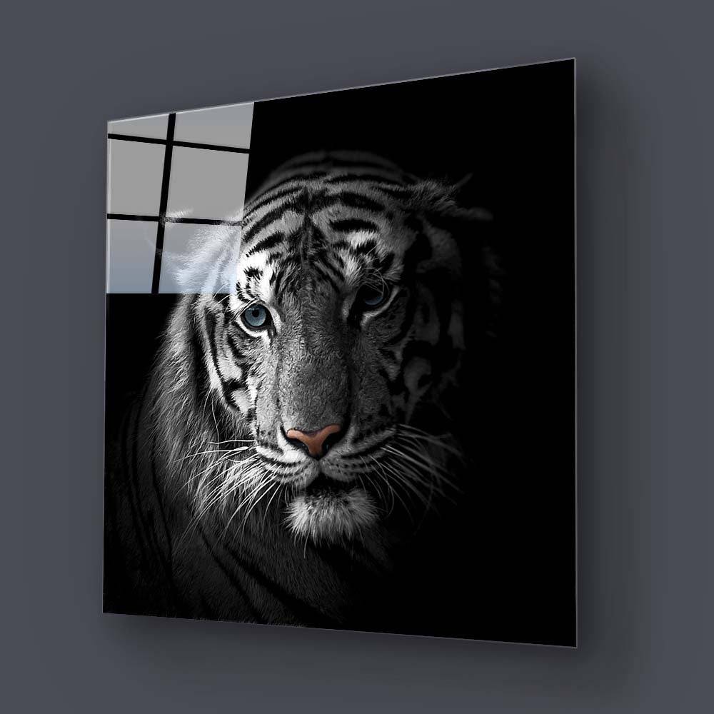 White Tiger in Spotlight Glass Wall Art - CreoGlass E-Shop