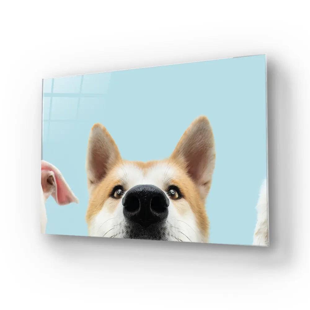 Banner Closeup Three Hide Dogs Head Glass Wall Art - CreoGlass E-Shop
