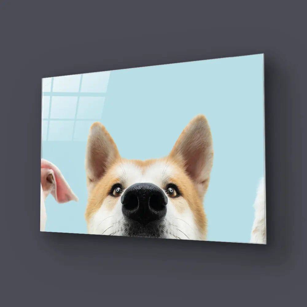 Banner Closeup Three Hide Dogs Head Glass Wall Art - CreoGlass E-Shop