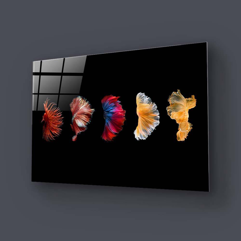 Betta Fish Tail Glass Wall Art - CreoGlass E-Shop
