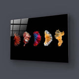 Betta Fish Tail Glass Wall Art - CreoGlass E-Shop