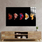 Betta Fish Tail Glass Wall Art - CreoGlass E-Shop