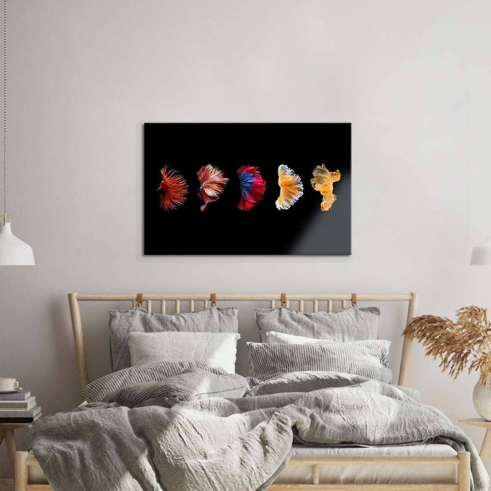 Betta Fish Tail Glass Wall Art - CreoGlass E-Shop