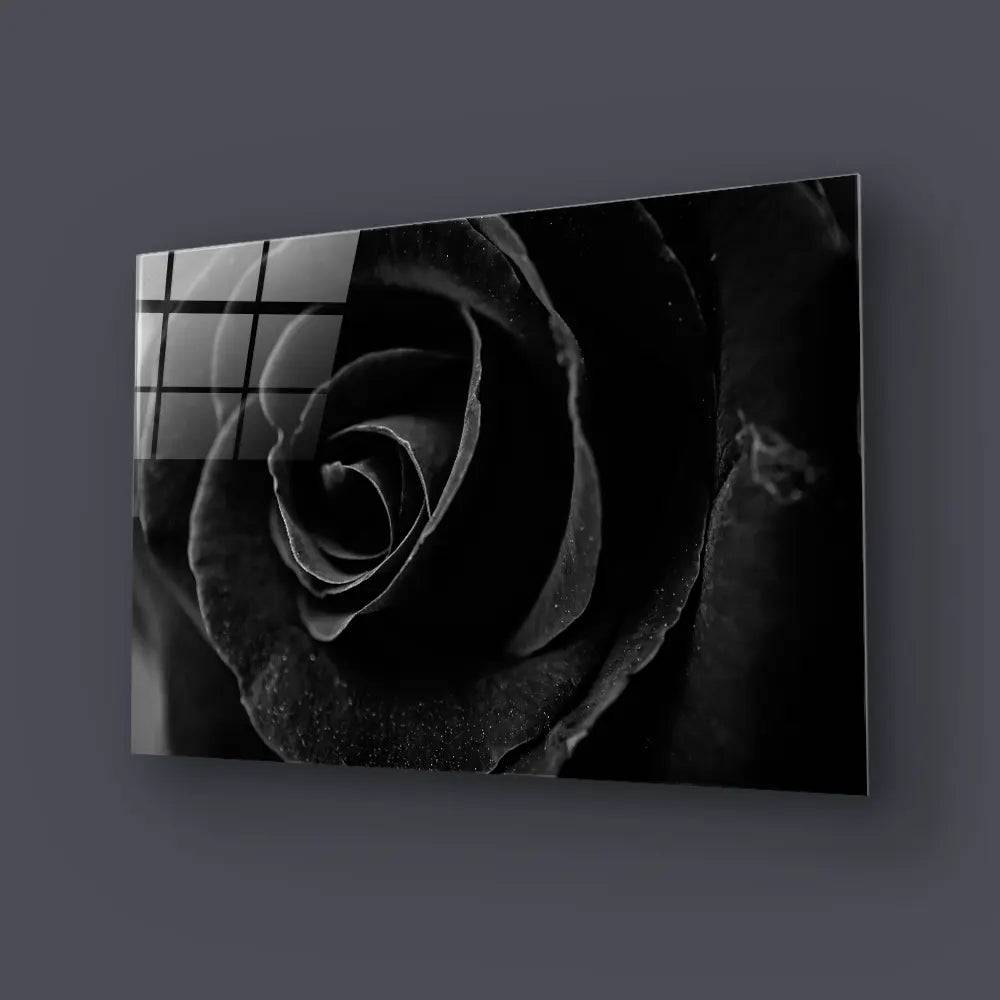 Black Rose Close Up Glass Wall Art - CreoGlass E-Shop