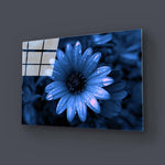 Blue Cape Daisy with Pink Droplets Glass Wall Art - CreoGlass E-Shop