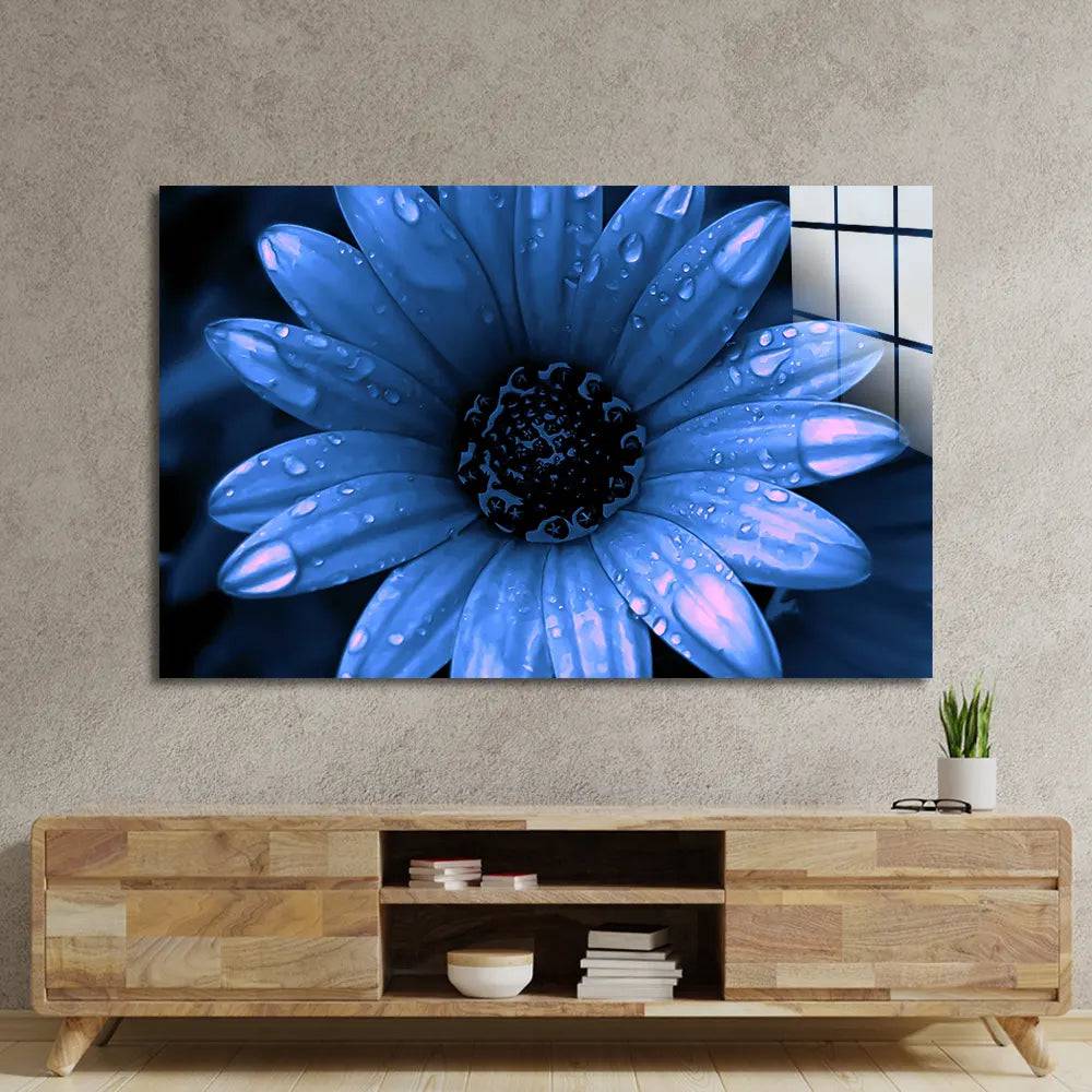 Blue Cape Daisy With Pink Droplets Glass Wall Art - CreoGlass E-Shop