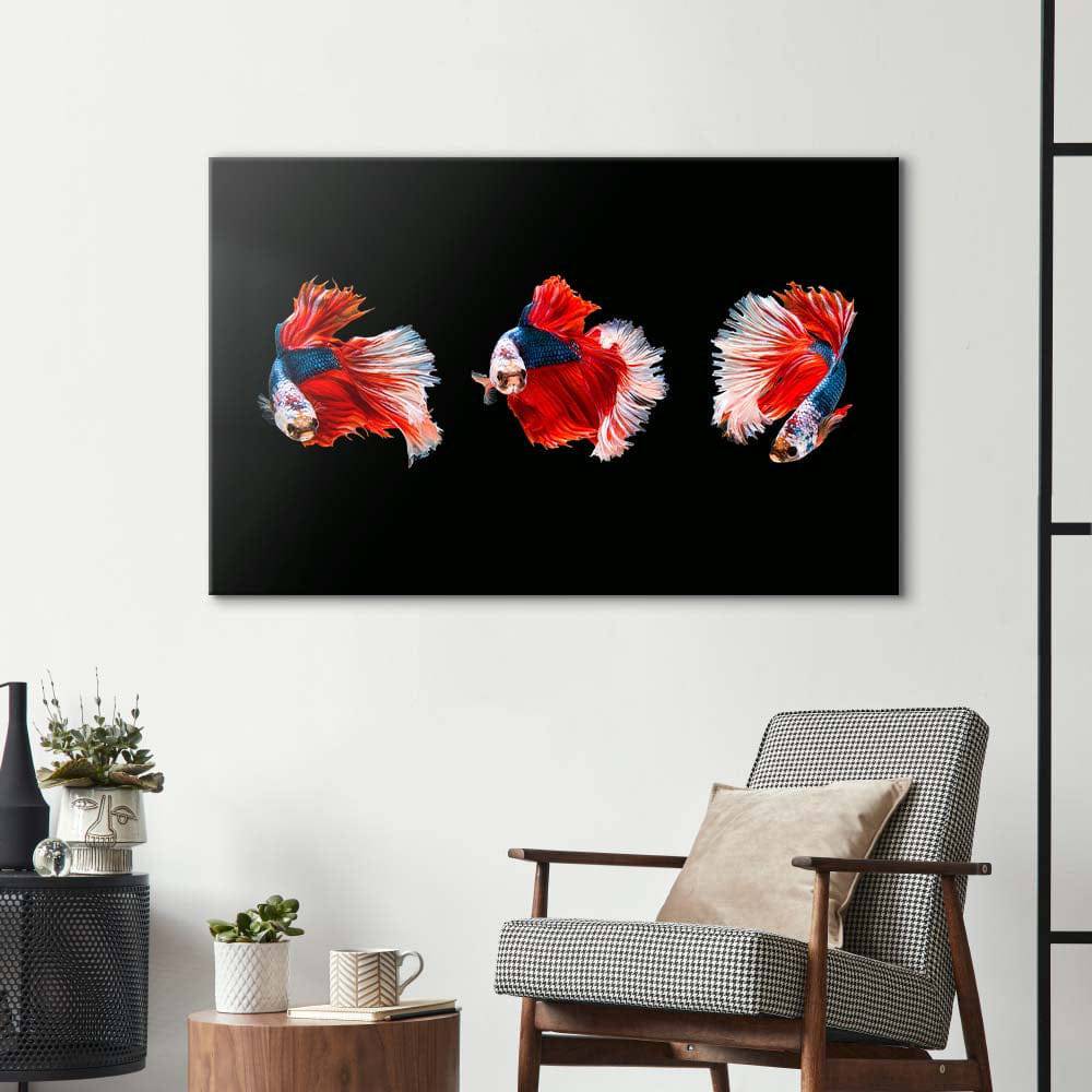 Halfmoon Beta Fish Glass Wall Art - CreoGlass E-Shop