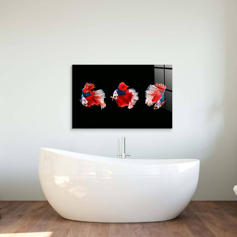 Halfmoon Beta Fish Glass Wall Art - CreoGlass E-Shop