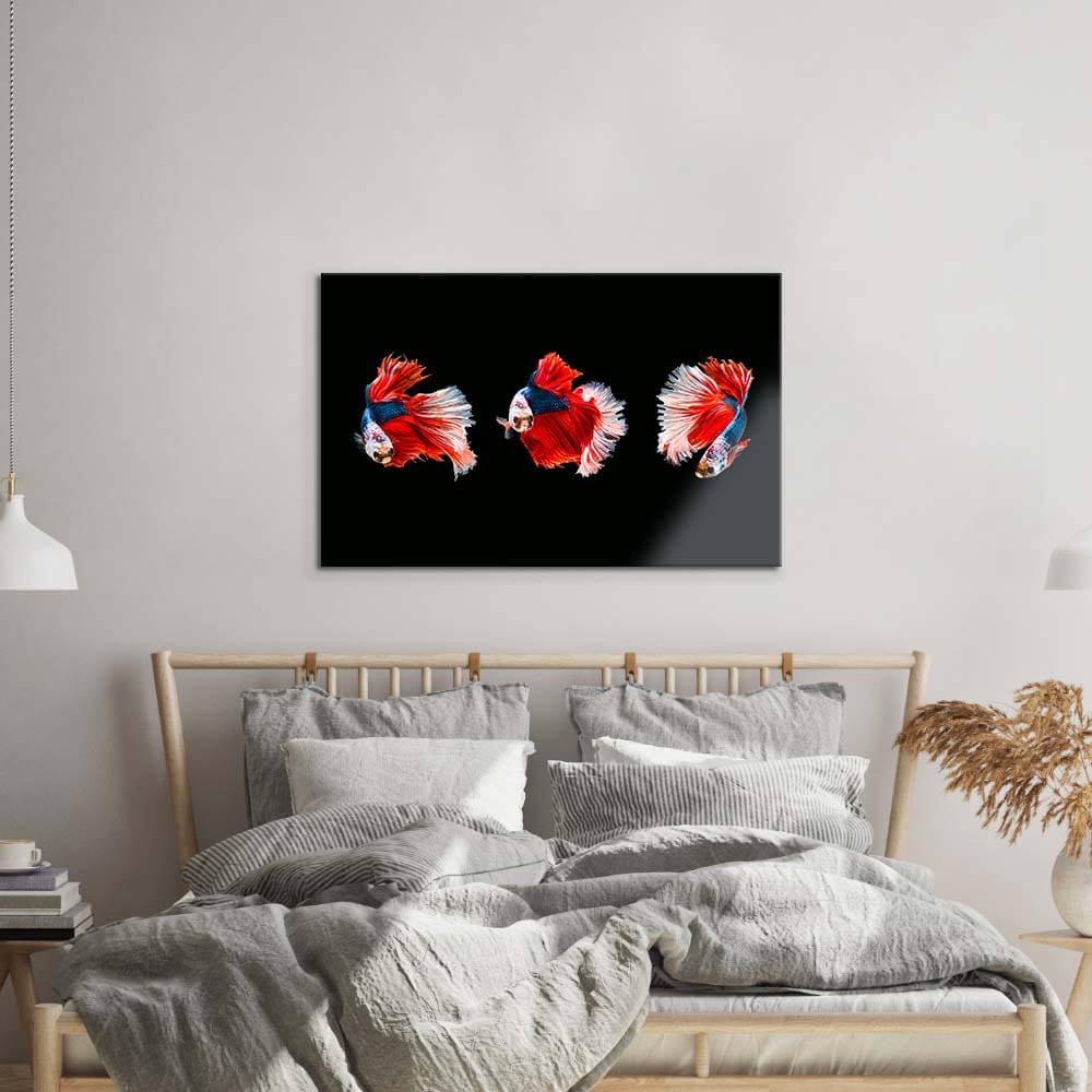 Halfmoon Beta Fish Glass Wall Art - CreoGlass E-Shop