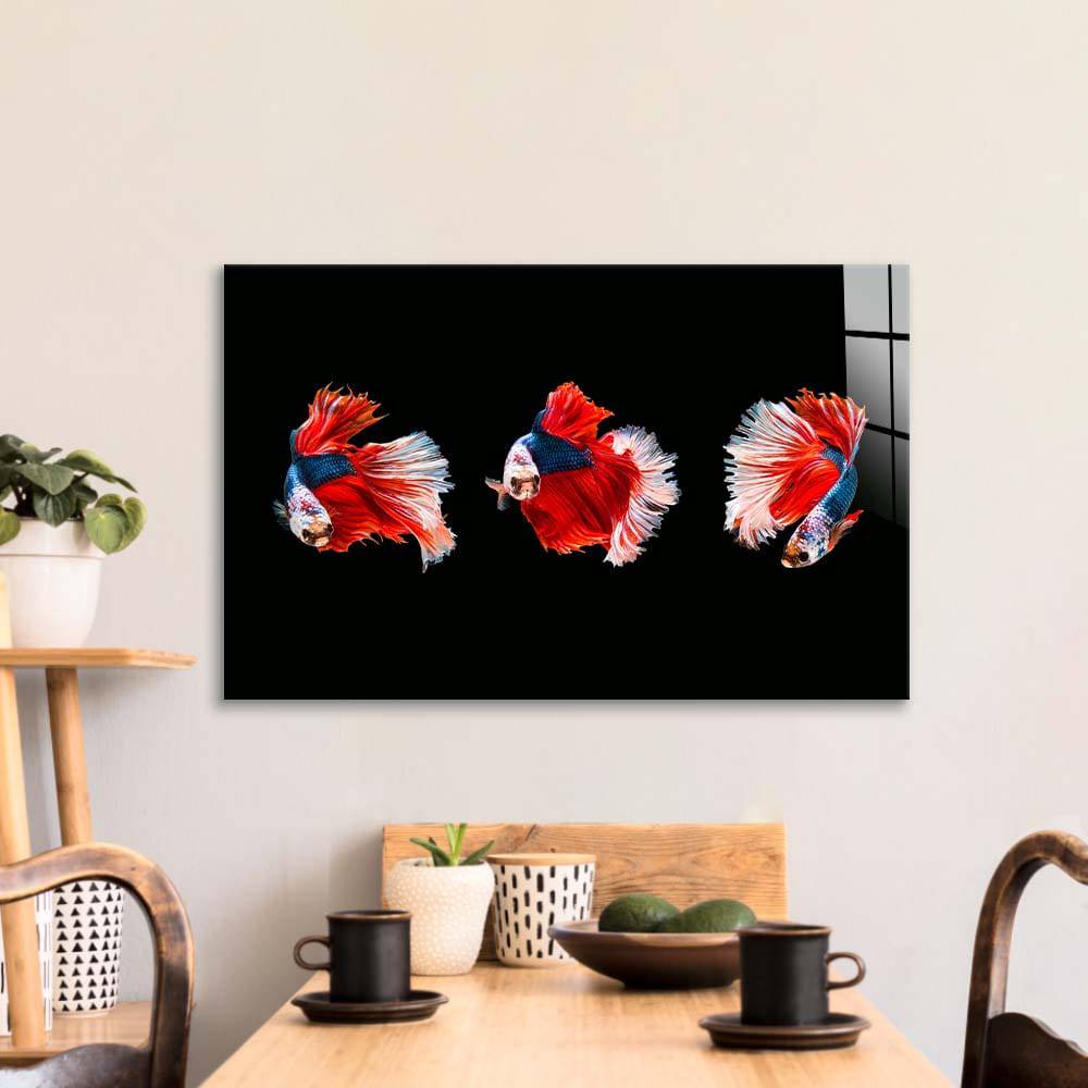 Halfmoon Beta Fish Glass Wall Art - CreoGlass E-Shop