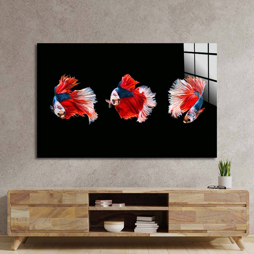 Halfmoon Beta Fish Glass Wall Art - CreoGlass E-Shop