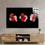 Halfmoon Beta Fish Glass Wall Art - CreoGlass E-Shop