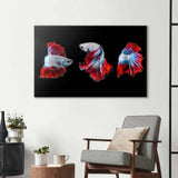 Halfmoon Betta Fish 2 Glass Wall Art - CreoGlass E-Shop