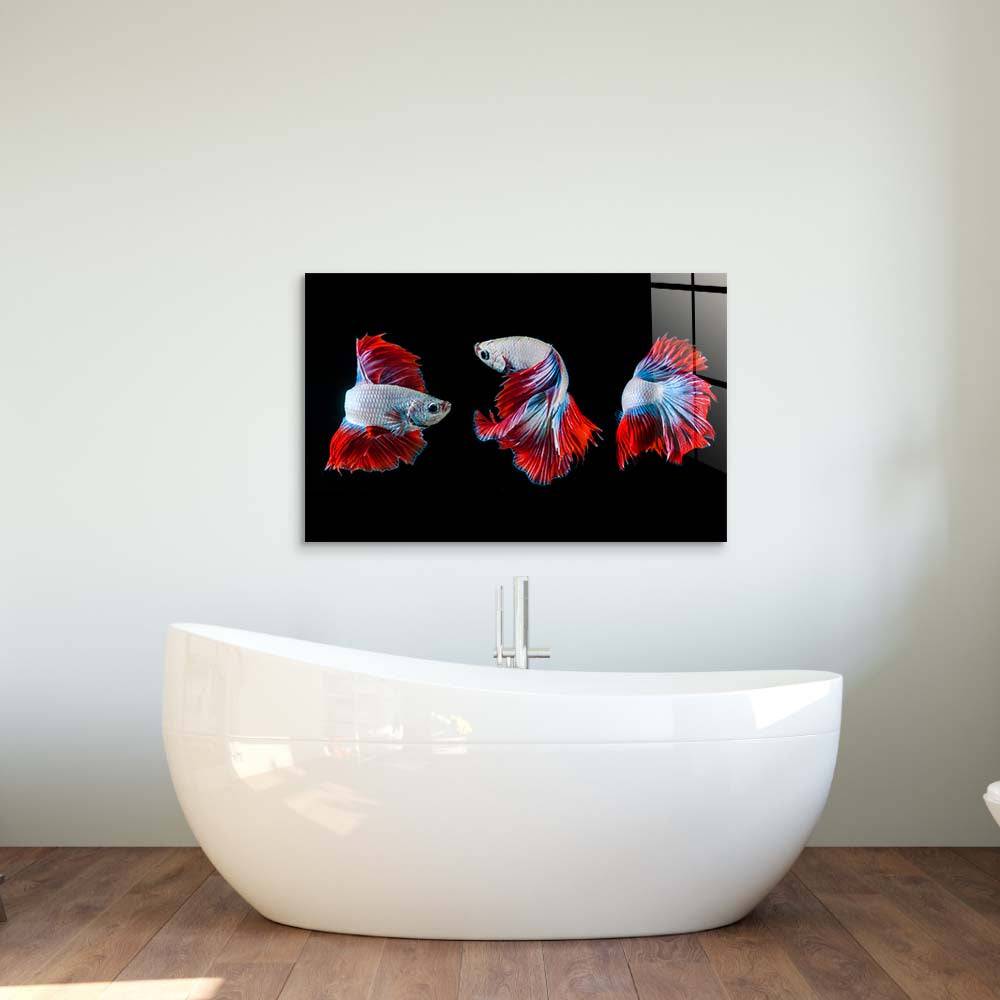 Halfmoon Betta Fish 2 Glass Wall Art - CreoGlass E-Shop