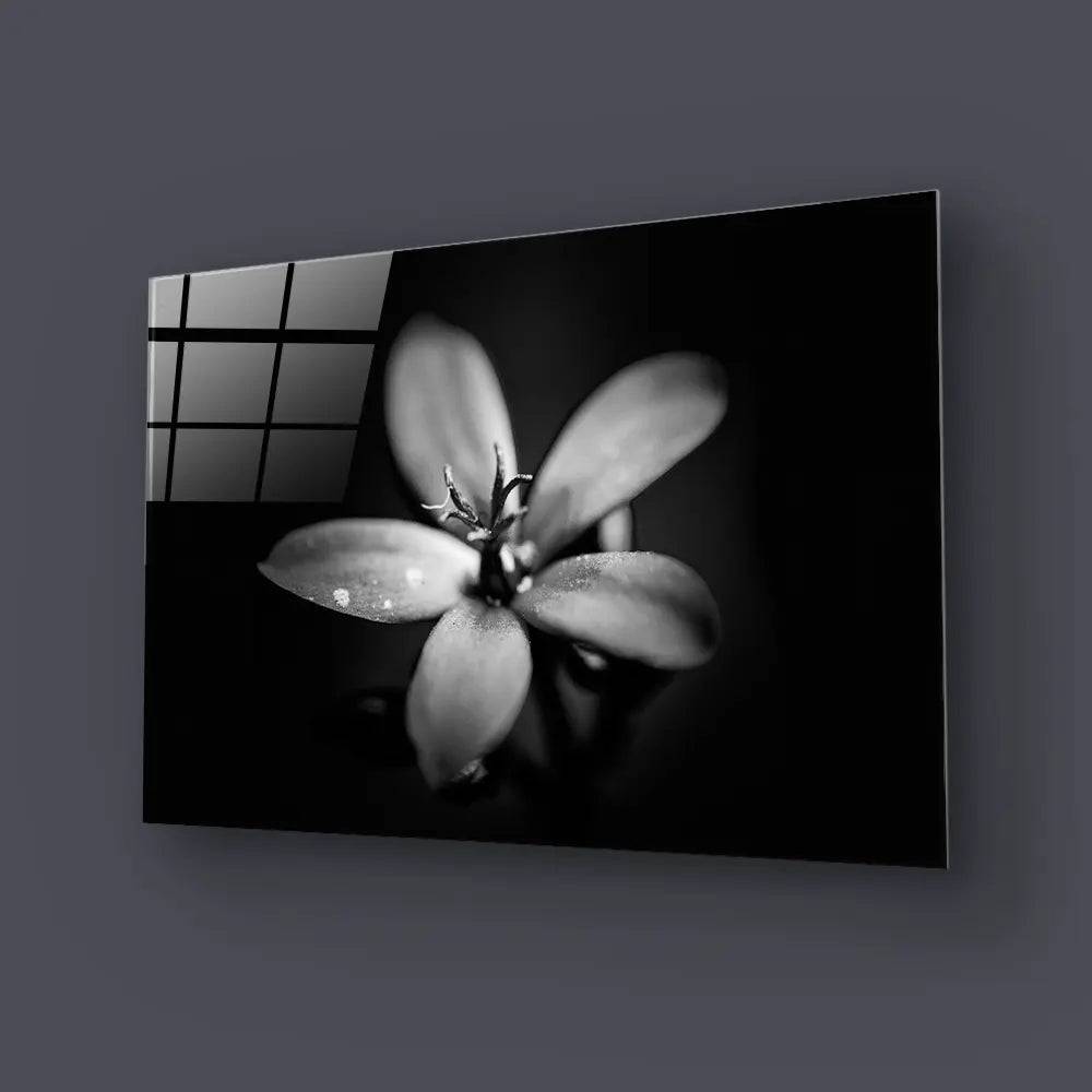Hawthorn Black and White Glass Wall Art - CreoGlass E-Shop