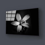 Hawthorn Black & White Glass Wall Art - CreoGlass E-Shop