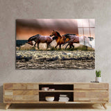 Horse Running Through Water Glass Wall Art - CreoGlass E-Shop