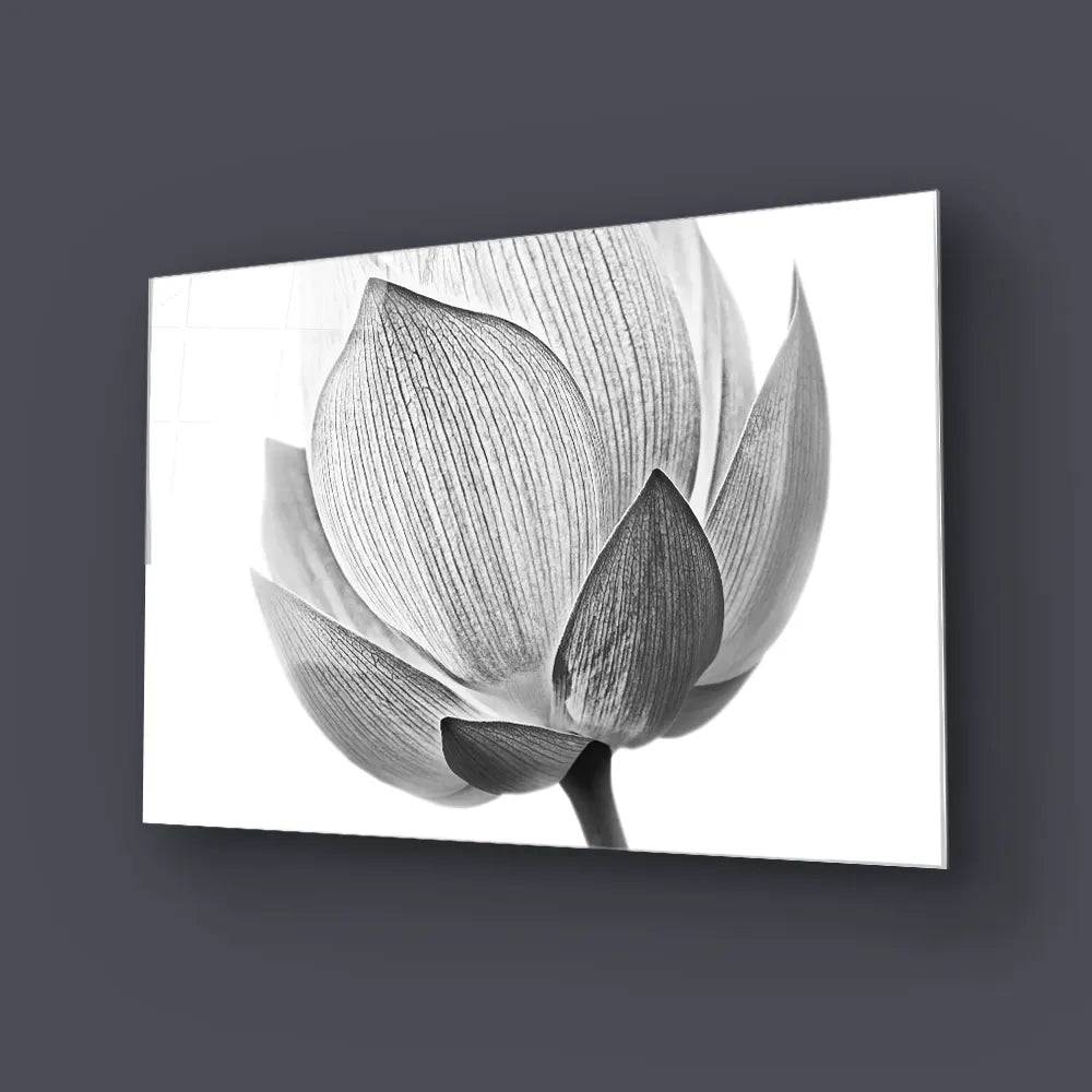 Lotus Black and White 2 Glass Wall Art - CreoGlass E-Shop