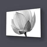 Lotus Black and White 2 Glass Wall Art - CreoGlass E-Shop