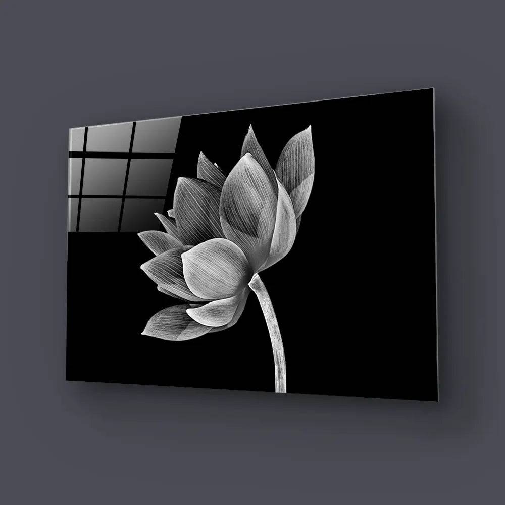 Lotus Black and White Glass Wall Art - CreoGlass E-Shop