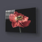 Poppy Glass Wall Art - CreoGlass E-Shop
