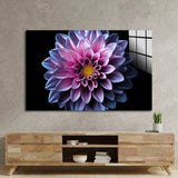 Purple Dahlia Glass Wall Art - CreoGlass E-Shop