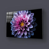 Purple Dahlia Glass Wall Art - CreoGlass E-Shop