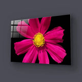 Red Daisy Glass Wall Art - CreoGlass E-Shop